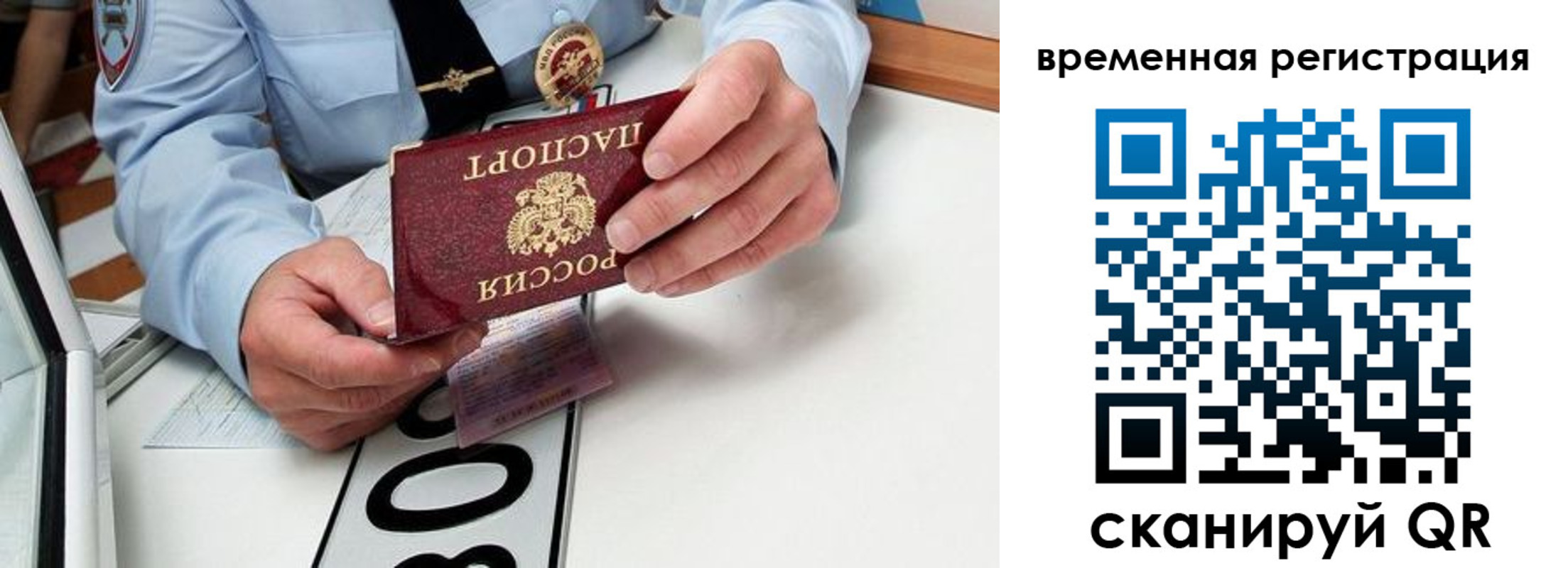 прописка гарантия в Королёве